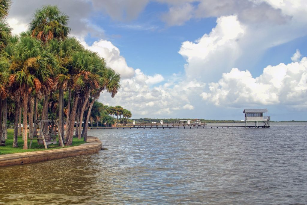 Palm-lined lake with a dock