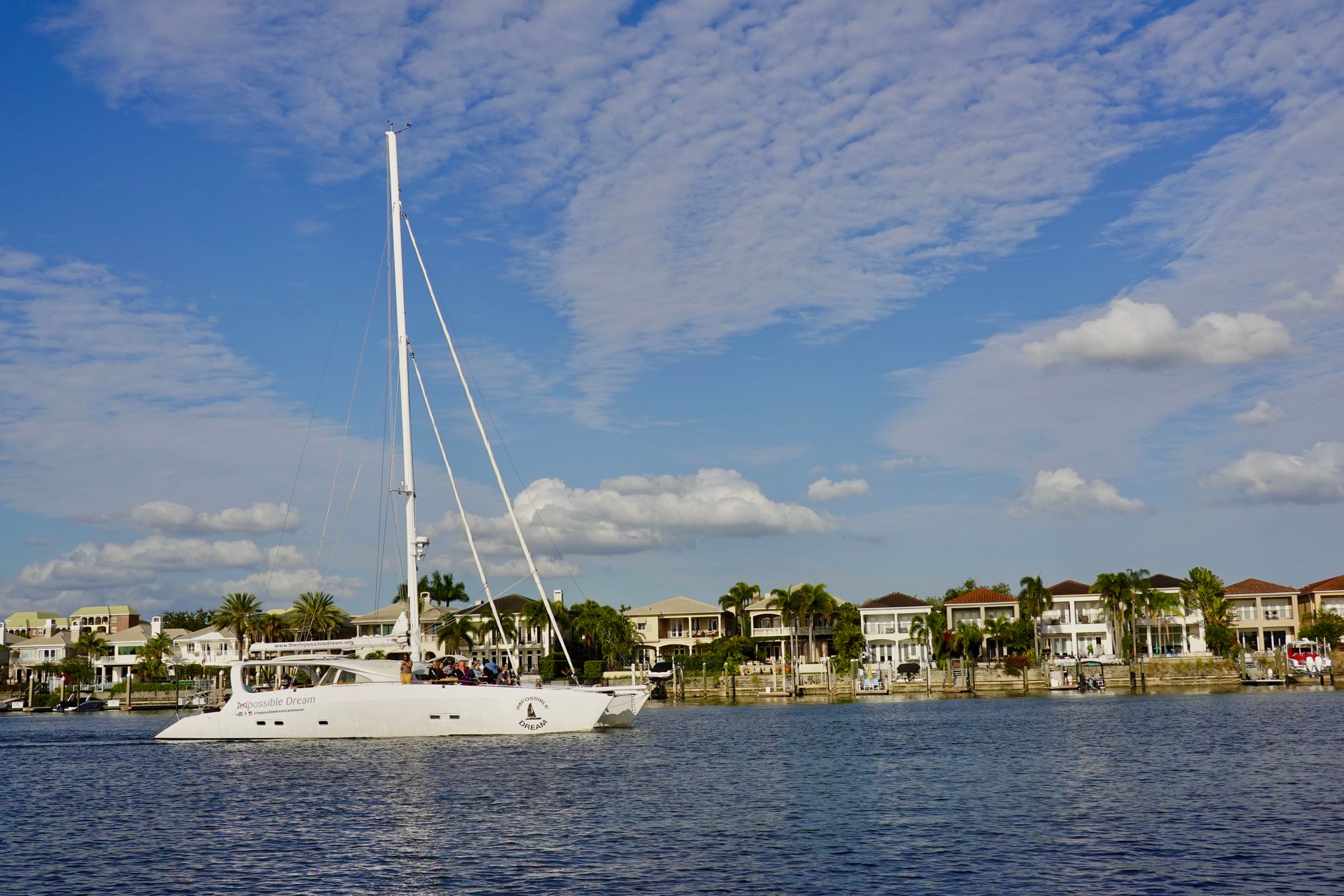 South Tampa Neighborhood Guide